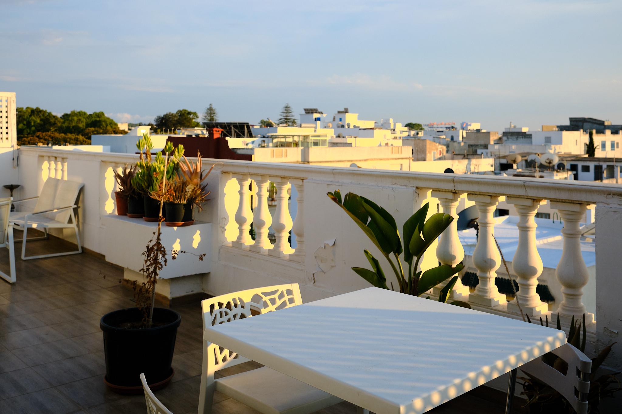 Terrace Méditerranéenne
